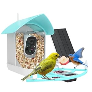 Smart Bird Feeder with Camera, AI Identify Bird Breed, Solar-Powered WiFi FHD 2K Live Camera, Auto Capture Backyard Garden Birds Watching, Motion Detection, Cloud and SD Card Storage, Blue…