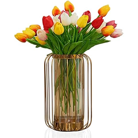 JHJRZP Glass Vase With Metal Frame, Crystal Transparent Inner Vase, Modern Gold Wrought Iron Flower Vase For Hydroponic Tulips, Home Decoration, S Cover