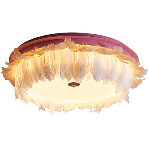 Lámpara de Techo Lámpara de plumas lámpara
