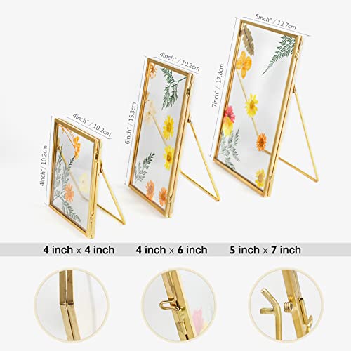 Jajamy Set Of 3 Glass Pressed Flowers Frame Collection, 4"X4", 4"X6", 5"X7" Gold Metal Floating Standing Glass Picture Frames, Tabletop Pressed Glass Artwork Frame Home Decor Photo Display #TOP5
