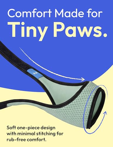 Image of Dog Muzzle, Breathable Mesh Muzzle for Small Sized Dogs, Soft Muzzles to Prevent Biting, Adjustable Comfort Fit, Training Allows Panting and Drinking(Grey Green, 0)