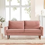 Dreamsir 70'' Mid Century Modern Sofa, Velvet Loveseat Furniture with Two Storage Bags, Small Love S