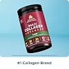 Ancient Nutrition Advanced Hydrolyzed Collagen Peptides Powder Protein Lean with Probiotics and Vitamin C, Cinnamon, for Women & Men, Supports Healthy Weight Management & Muscle Building, 25 Servings