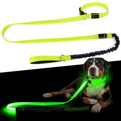 Leuchthalsband Hund & LED Hundeleine Set 2-in-1 Aufladbar mit Typ-C, 500m Sichtbarkeit Dehnbares Band für Nachtspaziergänge（Grün，L
