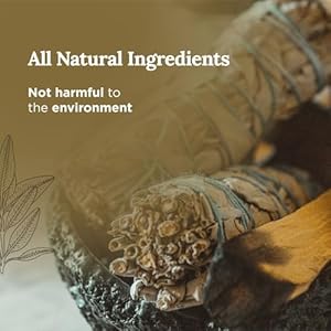 Magnificent101setof3longlastingpuresagepalosantocandles35ozeach42hourburnmadeofsoyparaffinfreecandlesforhouseenergycleansingmanifestation Urban Country Home Decor Magnificent 101 set of 3 long lasting pure sage palo santo candles 35 oz each 42 hour burn made of soy paraffin free candles for house energy cleansing manifestation urban country home decor