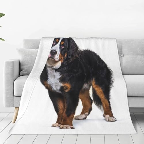 ѕz o[j[Y}EehbO  (3) Aj y uPbg tl 􂦂 ÓdCh~ g _炩 ӂӂ lGKp 150cm×200cm