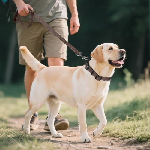 Image of Joytale Reflective Dog Collar, Soft Neoprene Padded, Metal D-Ring, Nylon Pet Collar Adjustable for Extra Large Dogs, Brown, XLarge