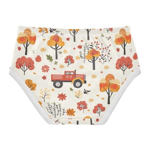 ZZKKO Farmhouse Tree Truck Girls Underwear Toddler Panties for Girls Comfort Brief Size 2-8T2