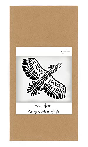 ~J[XgCoffee GNAh R[q[ AfX}Ee 500g  ҂ 