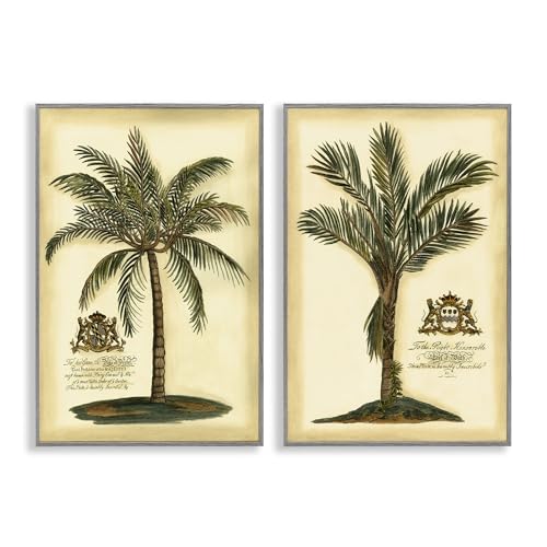 Palmiers historiques vintage pour salon deco nature exotique chic gris