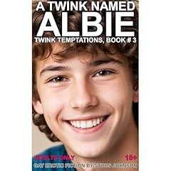A Twink Named Albie Audiolibro Por Studs Johnson arte de portada