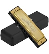 Mondharmonica 10 Gaten C Harmonica Kinderen Muziek Instrumentale Beginner Mondharmonica Voor Gift (Color : 02