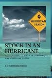 STOCK IN AN HURRICANE: All You Need To Know In Surviving Any Hurricane Storm