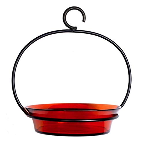 Cuban Flat Bottom Glass Birdbath G445VF Orange Hanging Bird Mealworm Feeder Birdseed Bowl. Romantic Decor & More