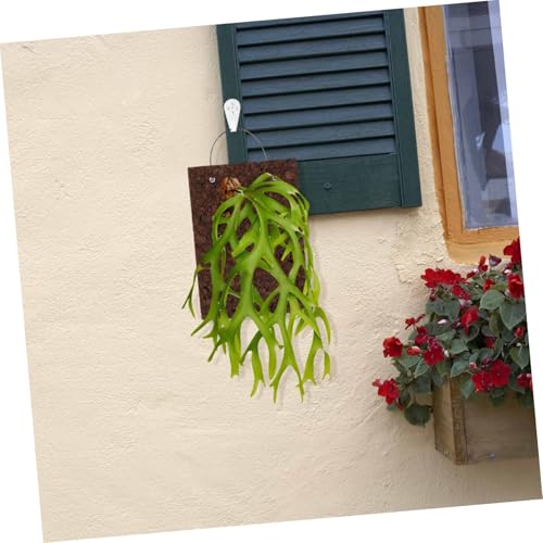 Cadre pour orchidées vertical pour sauver vos plantes des excès d'eau - 6