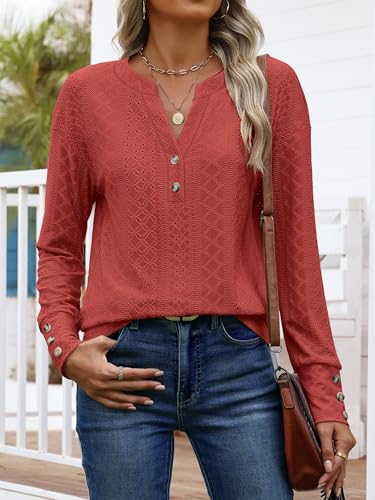 ANRABESS Womens Eyelet Tops Long Sleeve Henley Shirts Business Dressy Casual Blouse Vacation T-Shirt 2025 Fall Outfits