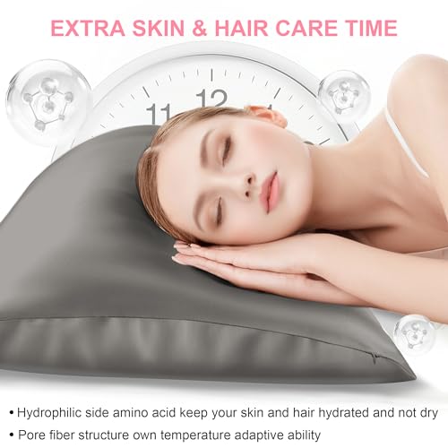 Mulberry Silk Pillow Cases 2 Pack Queen Size 20x30 Inches with Hidden Zipper, Ultra Smooth and Soft Breathable Cooling Silk Satin Pillowcase Set of 2, Better for Hair and Skin, Gifts for Women Men