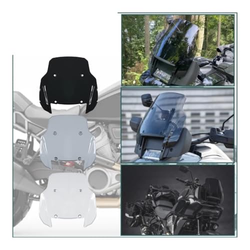 Extension bulle sport Pan America 1250 déflecteur pare-brise haute finition - 5