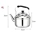DreamInn Stainless Steel Stove top Teakettle Whistling Teapot (4 Liter)
