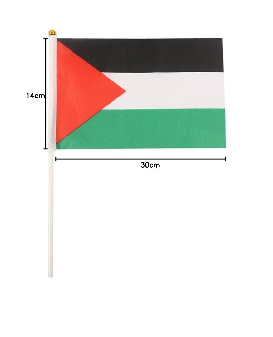 Palestina bandiera palestinese con palo I Stand mano sventolando