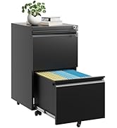 Reegangfa 2 Drawer Mobile File Cabinet with Lock, Rolling Metal Filing Cabinets, Black Under Desk...