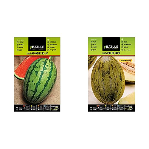 Sandia Klondike RS-57 + Melon PIEL DE SAPO S. TORPEDO