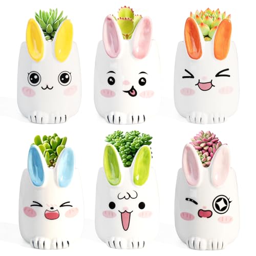 6 Pcs Cartoon Animal Succulent Pots with Drainage - 2.8