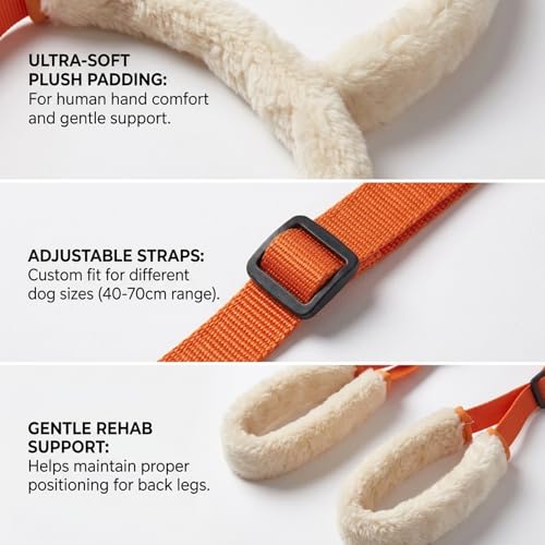 Dog Lifting Harness, Dog Sling for Back Legs Support, Assistance Device for Injured Dogs, Post-Surgery Recovery Mobility Aid, Daily Walking and Stair Climbing Support Harness - Image 4
