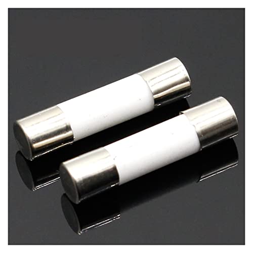 Fusible céramique 5x20mm 20A temporisé pour restaurer l'alimentation des moteurs électriques