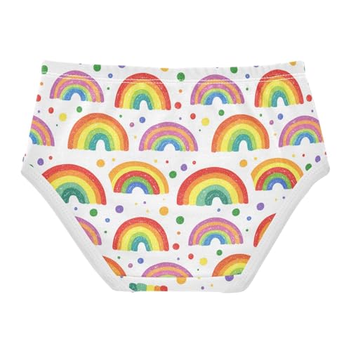 ZZKKO Rainbow Polka Dots Girls Underwear Toddler Panties for Girls Comfort Brief Size 2-8T2