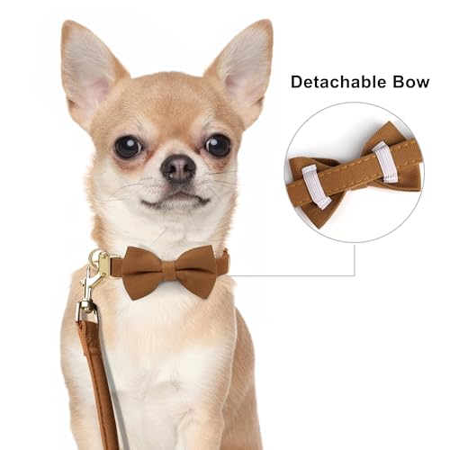 Beirui Adorable Small Dog Harness Collar and Leash Set,Cute XXS Puppy Harness Set with 3 Bows for Tiny Dogs,Chihuahua,Adjustable Step-in Vest for Daily Walking,Parties&Holiday Outfits(Brown,XXS)