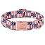Stars & Stripes Flag