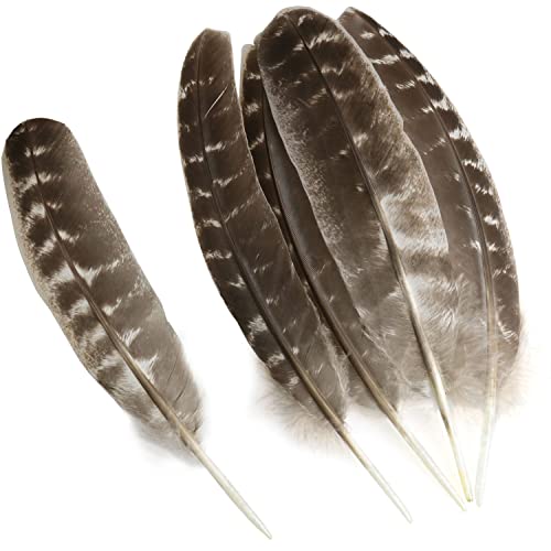 Luorng Turkey Feathers, 20Pcs 20-24Cm/7.87-9.44In Natural Turkey Feathers For Crafts Diy Decoration Collection #TOP1