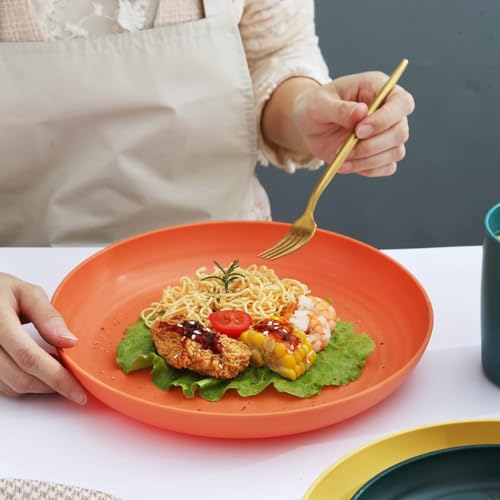 Image of Eco Friendly Wheat Straw Plate For Dinner, Lunch, Salad, Small Meals, Appetizers, Dessert, Cereal, Soup, Rice, Pizza, Snacks Dishwasher Microwave Safe Dinnerware (20cm+23cm, Random, Pack Of 4)