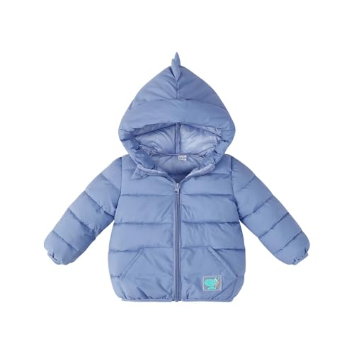 Beessbest Baby Toddler Boy Girl Cartoon Dinosaur Hooded Puffer Jackets Winter Coats Warm Zip-UP Padded Outerwear with Pockets