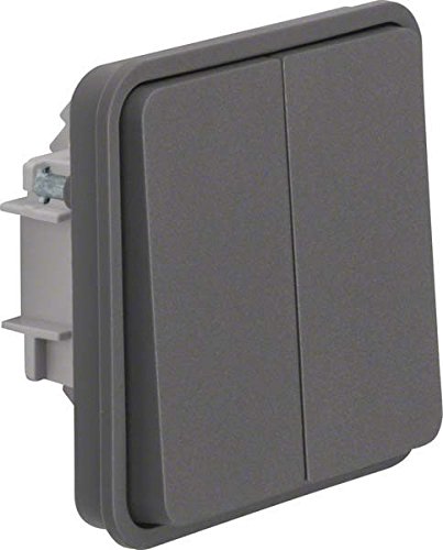 Double interrupteur Berker 30483515 gris clair pour installation électrique