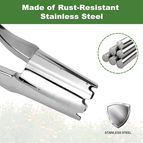 Dewayna Bulb Planter Tool, 4 Inches Depth Mark Hand Bulb Planter, Non-Bending Stainless Steel Bulb Planter Digger, Garden Bulb Transplanter With Comfortable Grip Wooden Handle For Tulip And Daffodils #TOP3