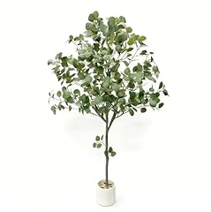Eucalyptus-6ft-green