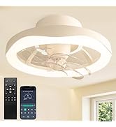 Amazon.co.jp : TENKOO&YOU シーリングファンライト LED 【特許登録