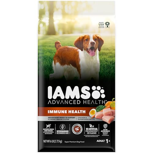 IAMS-Advanced-Health-Immune-Health-Adult-Dry-Dog-Food-Chicken-Exclusive-Superfoods-Medley-Recipe-6-lb-Bag IAMS Advanced Health Immune Health Adult Dry Dog Food Chicken Exclusive Superfoods Medley Recipe 6 lb Bag