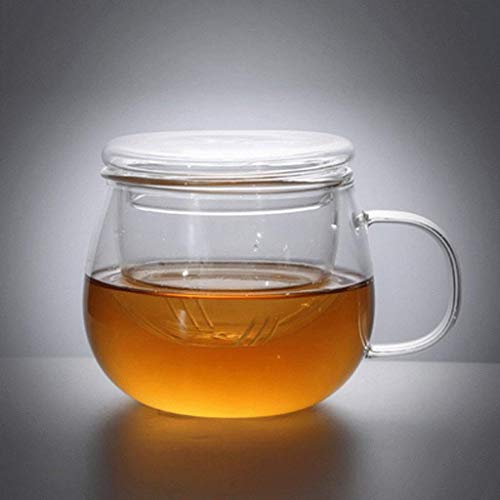 Hochtemperaturbeständige Glasteekanne für Induktionsherd, kochendes Wasser für die Zubereitung von Tee, Edelstahlfilter-Teeset mit flachem Boden, für