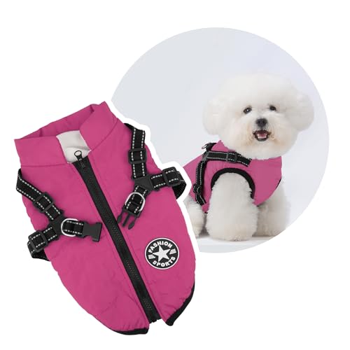 KEYVOR  {A  xXg ȕR[g Ȃ Ԕ DO L ^ ^  hbOEFA H ~ h hWPbg g ybg o U y EȒP  p[v XL