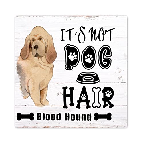 Panneau en bois Blood Hound chien décoration murale salon rustique ferme 30x30 cm