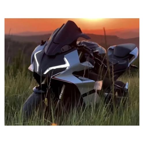 Ailes fixes carénage CF450SR rigides pour un profil aérodynamique précis - 4