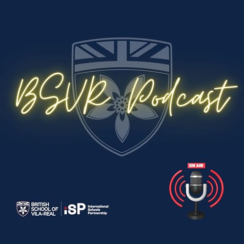 Page de couverture de BSVR Podcast