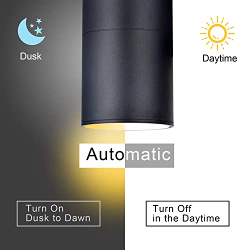 Rosykite Outdoor Wall Lights Dusk To Dawn,Double Up Down Light Bulbs Included,Exterior Lighting Fixtures Wall Mount Cylinder, Modern Outdoor Lights For House,Garage,Front Porch,Etl Listed, 2 Pack #TOP1