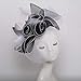 Fashion Flower Kentucky Organza Derby Hat Hats for Women Large Wide Brim Ladies Fascinator Bride Wedding Fedoras