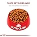 Royal Canin Size Health Nutrition Large 5+ Mature Dry Dog Food, 30 lb Bag