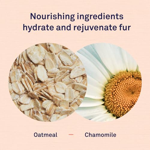 Petpost | Oatmeal & Chamomile Shampoo for Dogs with Dry Skin – Naturally Heals, Protects, Rejuvenates Dog Skin & Coat – Oatmeal, Chamomile, Aloe & Yucca Formula 8 oz. Petpost | Oatmeal & Chamomile Shampoo for Dogs with Dry Skin – Naturally Heals, Protects, Rejuvenates Dog Skin & Coat – Oatmeal, Chamomile, Aloe & Yucca Formula 8 oz.