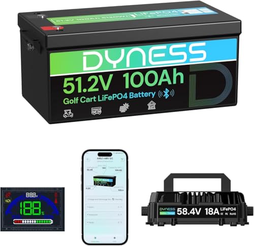 Dyness 48V 100Ah Lithium Golf Cart Battery with 48V 18A Lith